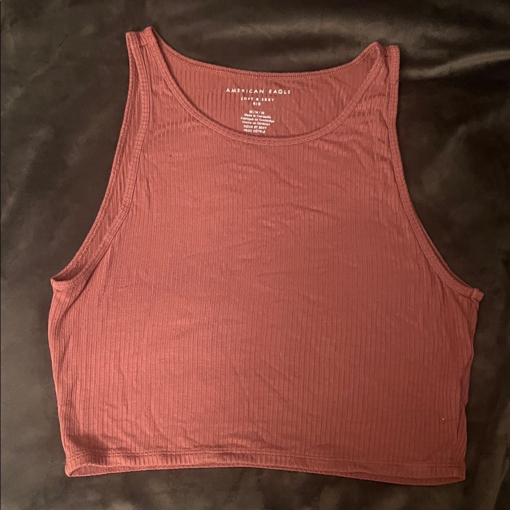 American Eagle Outfitters Maroon Crop Top